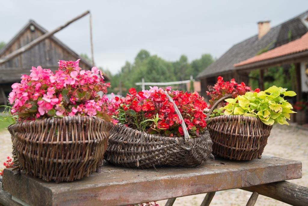 Gosciniec Folwark Nadawki Bed & Breakfast Sienkiewicze Exterior photo